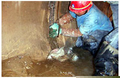 ���ݷ�ˮ�a©